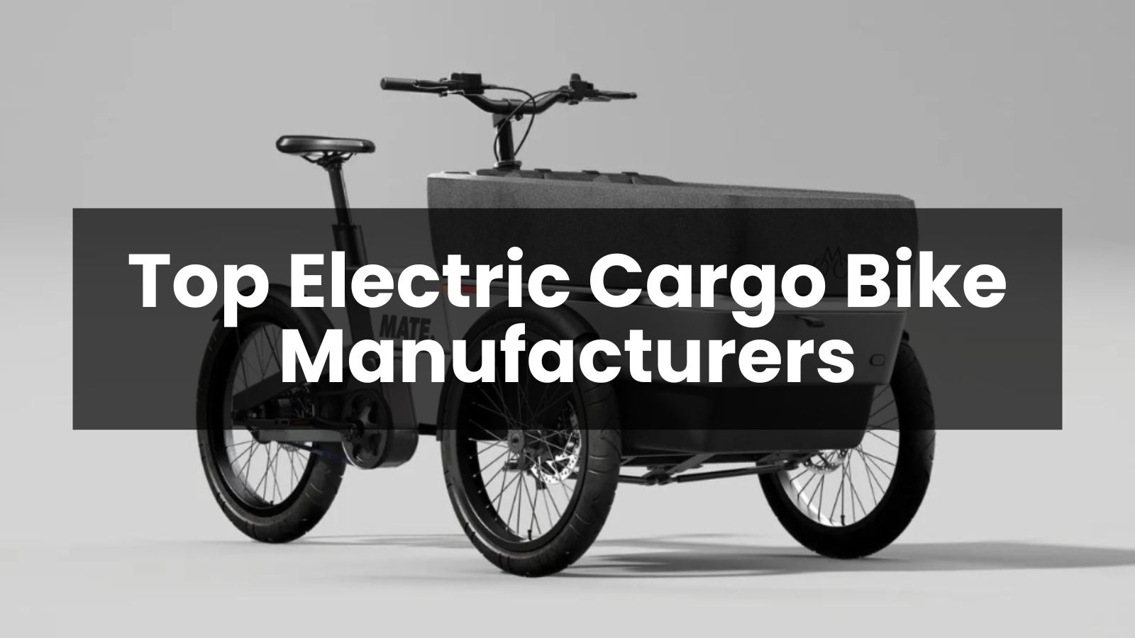 Top 10 Electric Cargo Bike Manufacturers in the World 2024 Lvkang Electric Bike